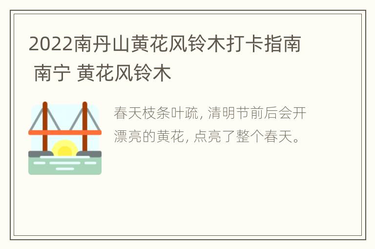 2022南丹山黄花风铃木打卡指南 南宁 黄花风铃木