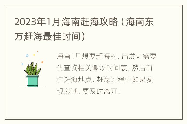 2023年1月海南赶海攻略（海南东方赶海最佳时间）