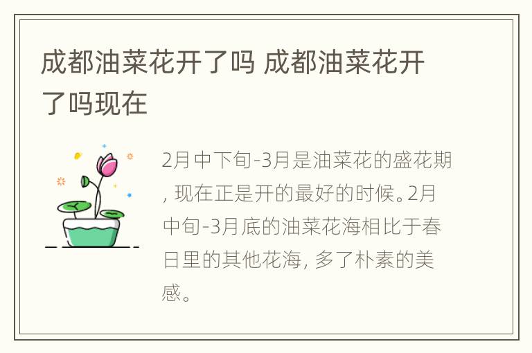 成都油菜花开了吗 成都油菜花开了吗现在