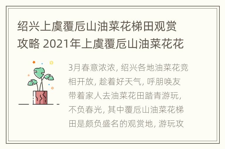 绍兴上虞覆卮山油菜花梯田观赏攻略 2021年上虞覆卮山油菜花花期