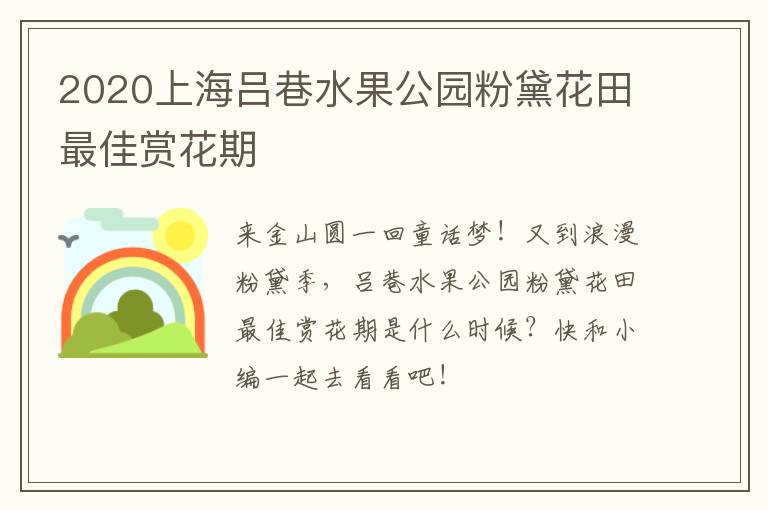 2020上海吕巷水果公园粉黛花田最佳赏花期