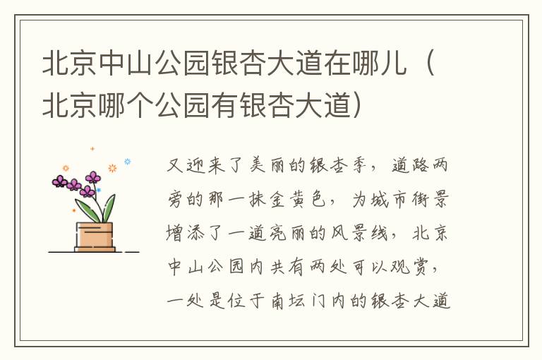 北京中山公园银杏大道在哪儿（北京哪个公园有银杏大道）