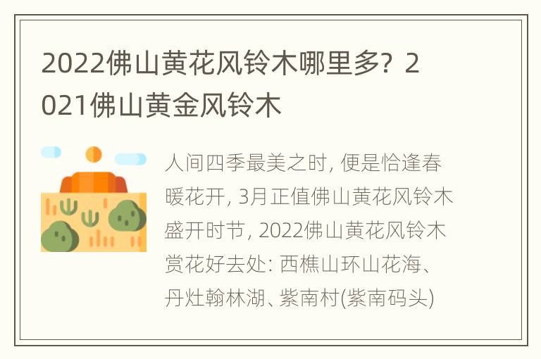 2022佛山黄花风铃木哪里多？ 2021佛山黄金风铃木