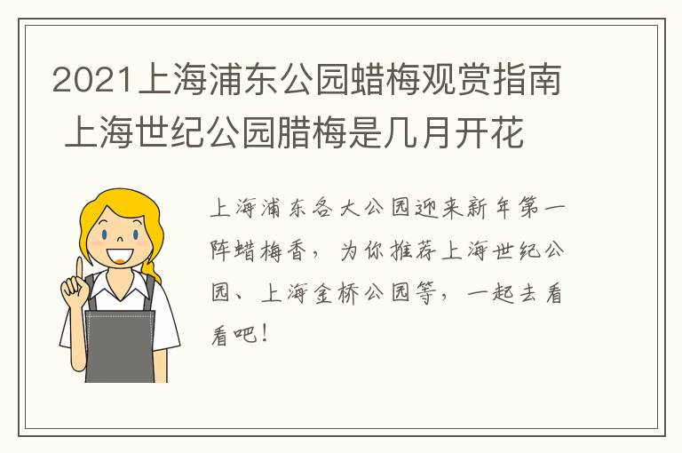 2021上海浦东公园蜡梅观赏指南 上海世纪公园腊梅是几月开花