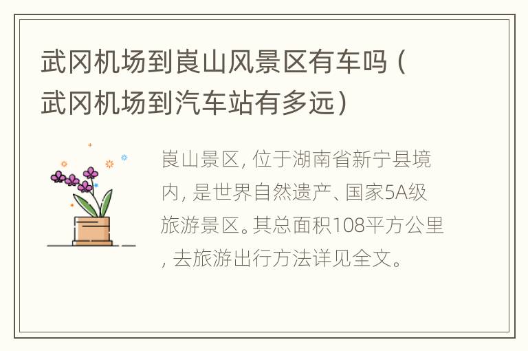 武冈机场到崀山风景区有车吗（武冈机场到汽车站有多远）