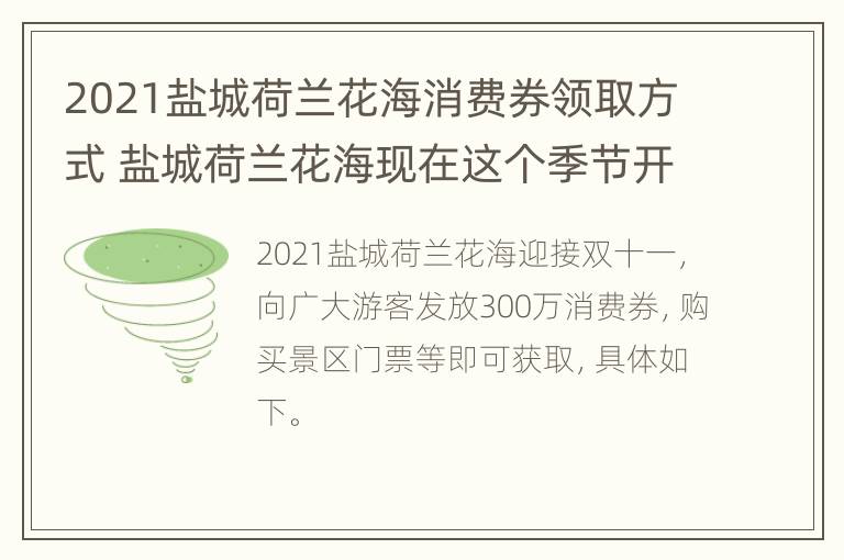 2021盐城荷兰花海消费券领取方式 盐城荷兰花海现在这个季节开放吗