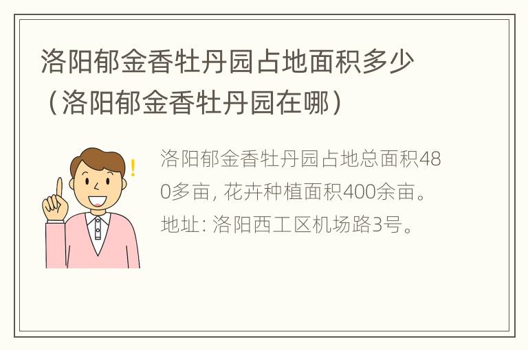 洛阳郁金香牡丹园占地面积多少（洛阳郁金香牡丹园在哪）