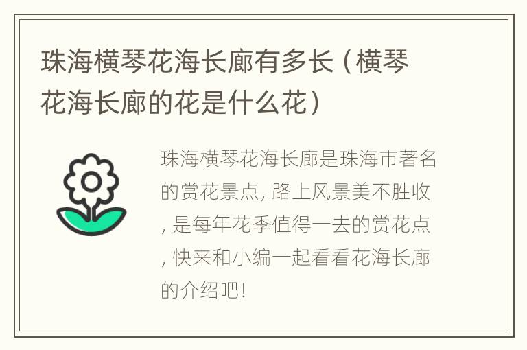 珠海横琴花海长廊有多长（横琴花海长廊的花是什么花）