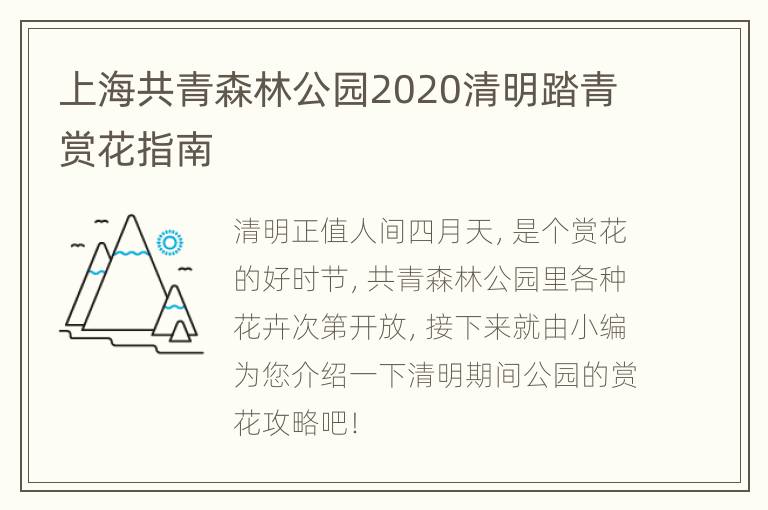 上海共青森林公园2020清明踏青赏花指南