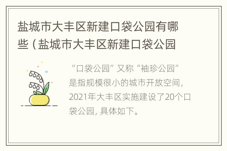 盐城市大丰区新建口袋公园有哪些（盐城市大丰区新建口袋公园有哪些公交车）