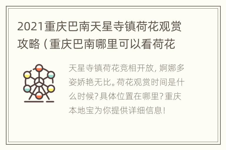 2021重庆巴南天星寺镇荷花观赏攻略（重庆巴南哪里可以看荷花）