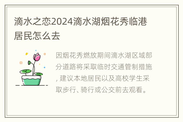 滴水之恋2024滴水湖烟花秀临港居民怎么去