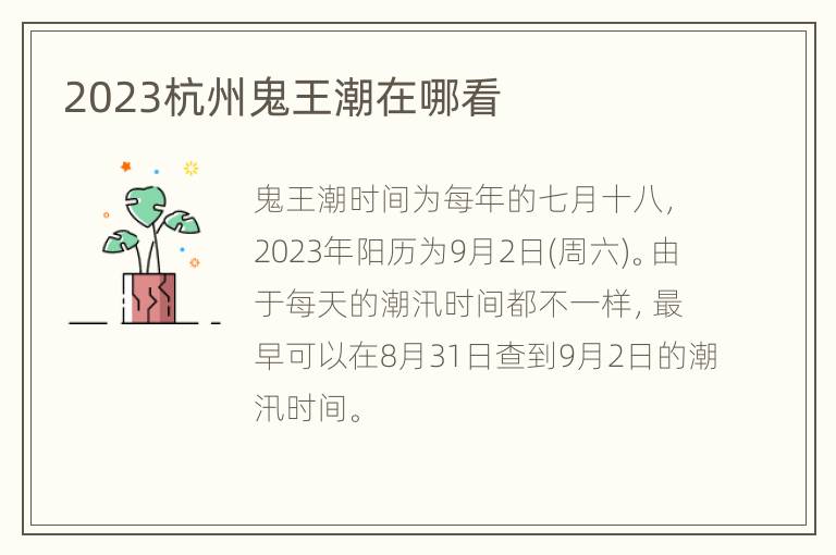 2023杭州鬼王潮在哪看