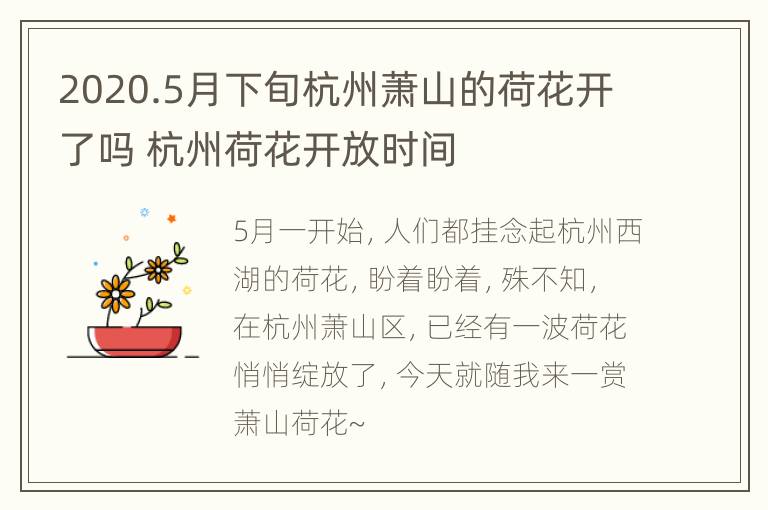 2020.5月下旬杭州萧山的荷花开了吗 杭州荷花开放时间