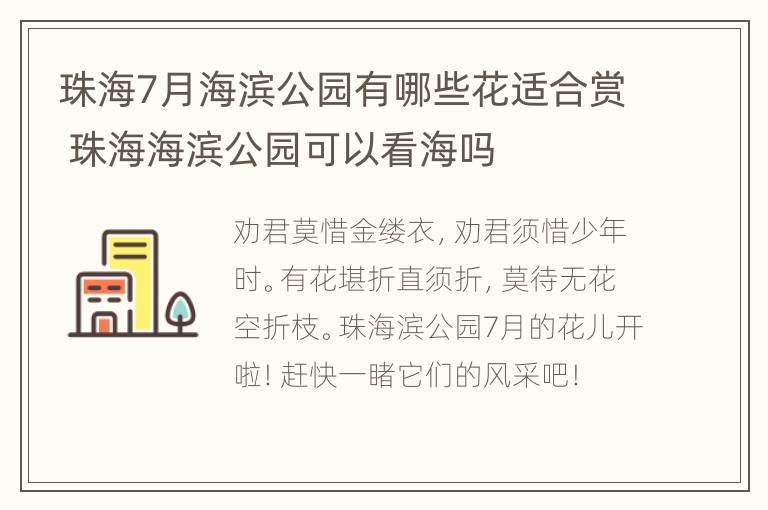 珠海7月海滨公园有哪些花适合赏 珠海海滨公园可以看海吗