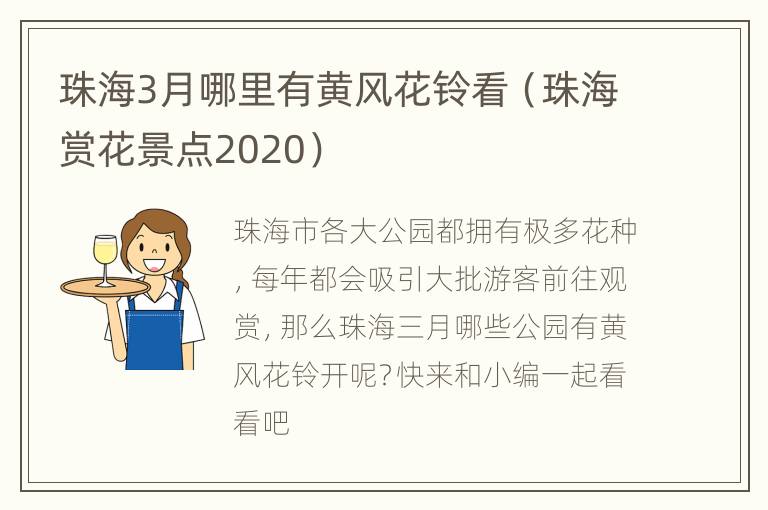 珠海3月哪里有黄风花铃看（珠海赏花景点2020）