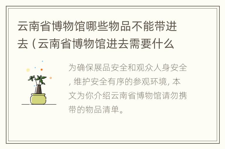 云南省博物馆哪些物品不能带进去（云南省博物馆进去需要什么）