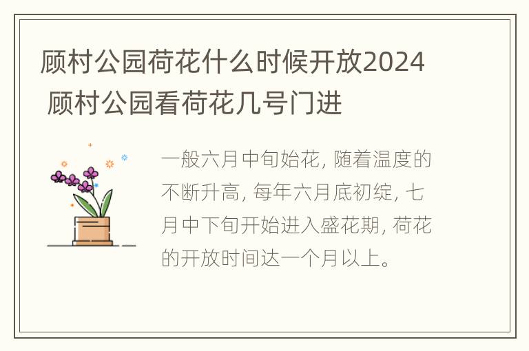 顾村公园荷花什么时候开放2024 顾村公园看荷花几号门进