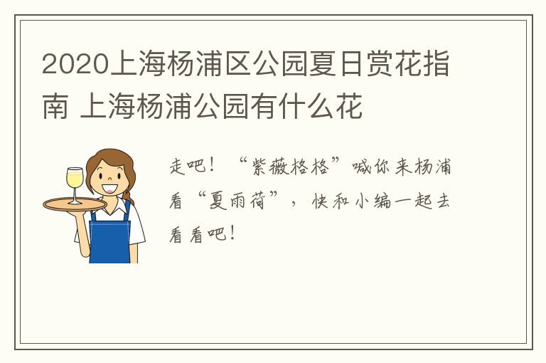 2020上海杨浦区公园夏日赏花指南 上海杨浦公园有什么花