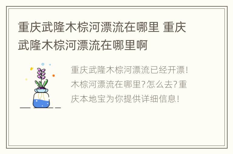 重庆武隆木棕河漂流在哪里 重庆武隆木棕河漂流在哪里啊