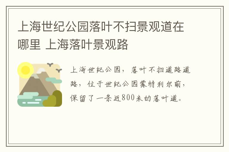 上海世纪公园落叶不扫景观道在哪里 上海落叶景观路