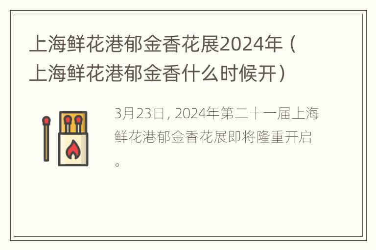 上海鲜花港郁金香花展2024年（上海鲜花港郁金香什么时候开）