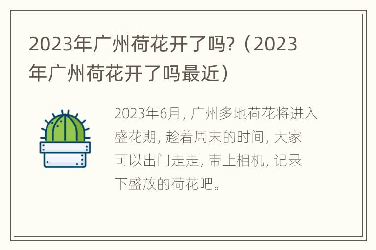 2023年广州荷花开了吗？（2023年广州荷花开了吗最近）