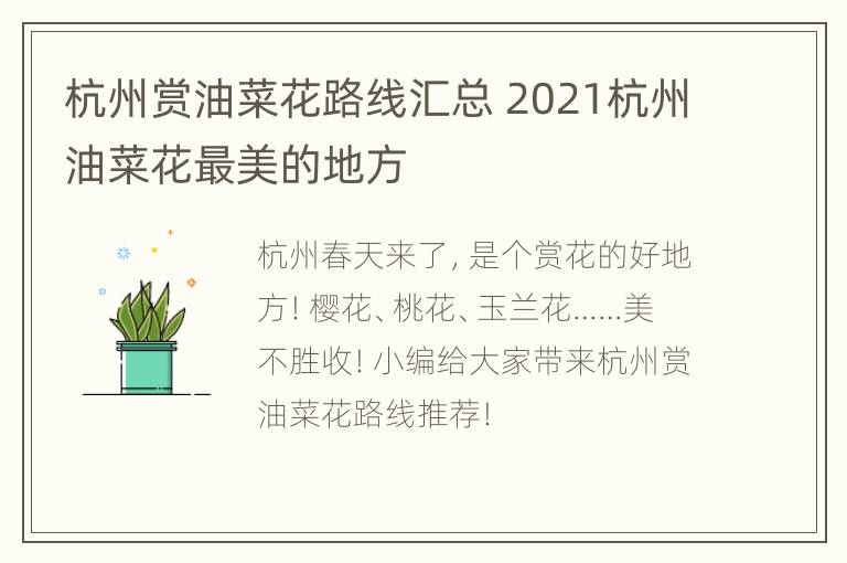 杭州赏油菜花路线汇总 2021杭州油菜花最美的地方