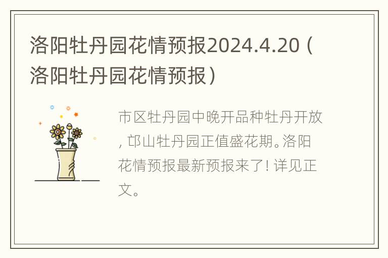 洛阳牡丹园花情预报2024.4.20（洛阳牡丹园花情预报）