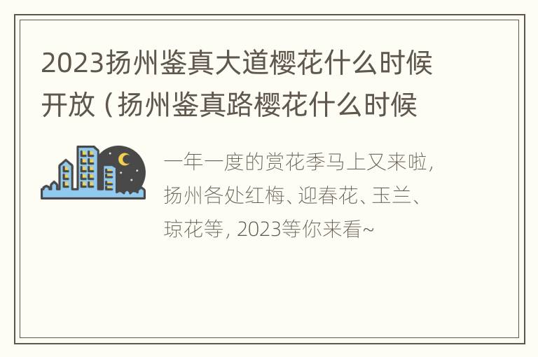 2023扬州鉴真大道樱花什么时候开放（扬州鉴真路樱花什么时候结束）