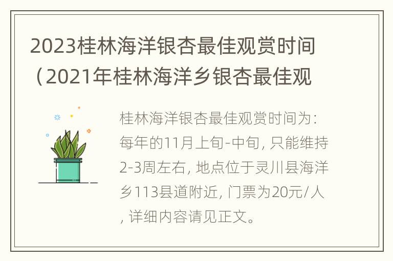 2023桂林海洋银杏最佳观赏时间（2021年桂林海洋乡银杏最佳观赏时间）