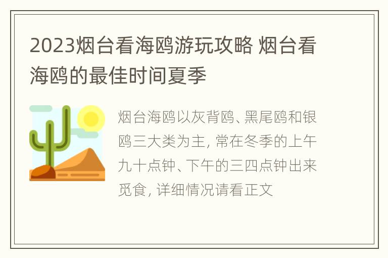 2023烟台看海鸥游玩攻略 烟台看海鸥的最佳时间夏季