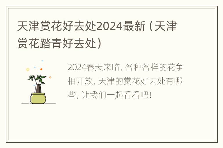 天津赏花好去处2024最新（天津赏花踏青好去处）