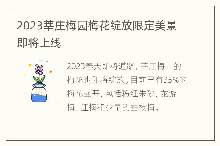 2023莘庄梅园梅花绽放限定美景即将上线