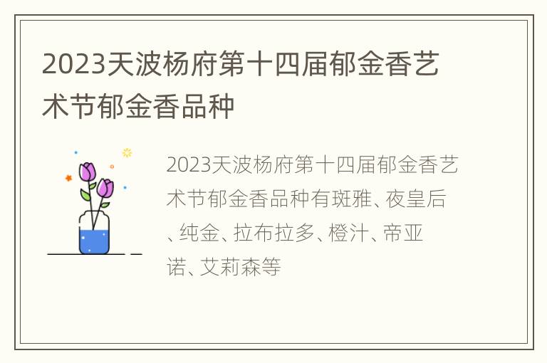 2023天波杨府第十四届郁金香艺术节郁金香品种