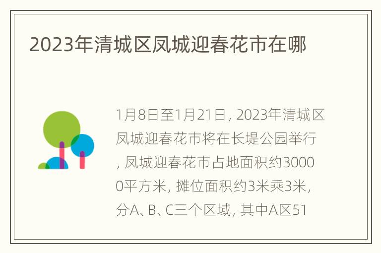 2023年清城区凤城迎春花市在哪