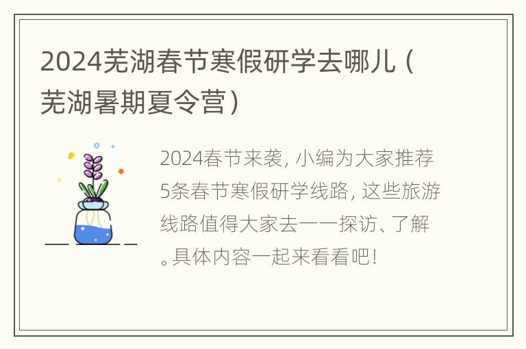 2024芜湖春节寒假研学去哪儿（芜湖暑期夏令营）