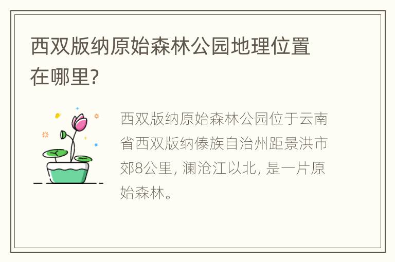 西双版纳原始森林公园地理位置在哪里？