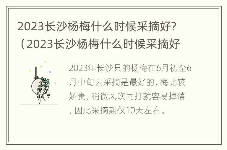 2023长沙杨梅什么时候采摘好？（2023长沙杨梅什么时候采摘好呢）