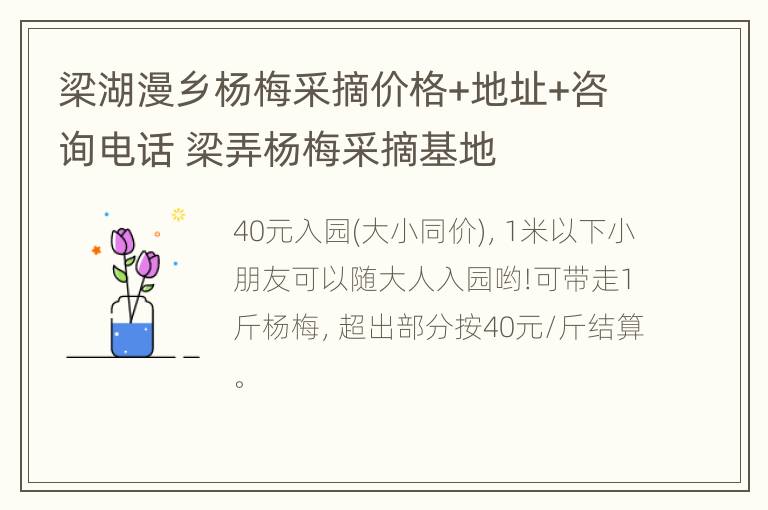 梁湖漫乡杨梅采摘价格+地址+咨询电话 梁弄杨梅采摘基地