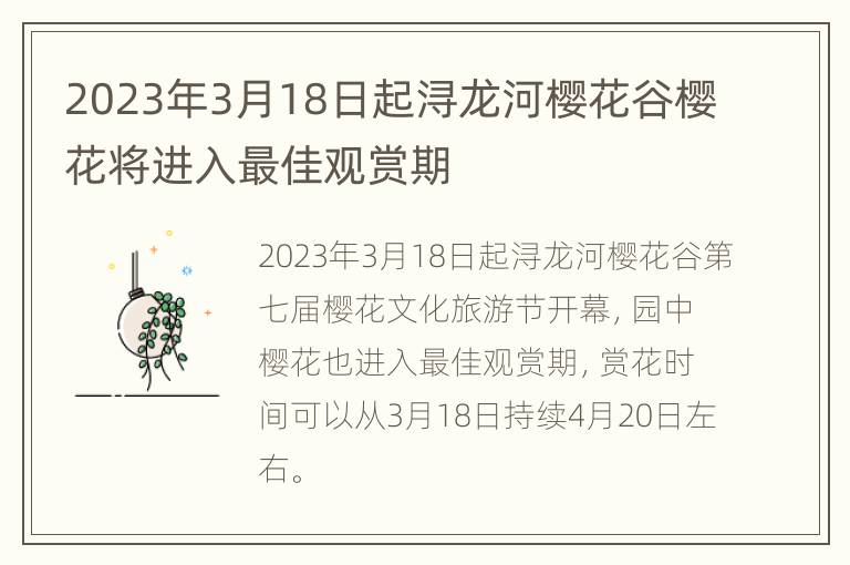 2023年3月18日起浔龙河樱花谷樱花将进入最佳观赏期