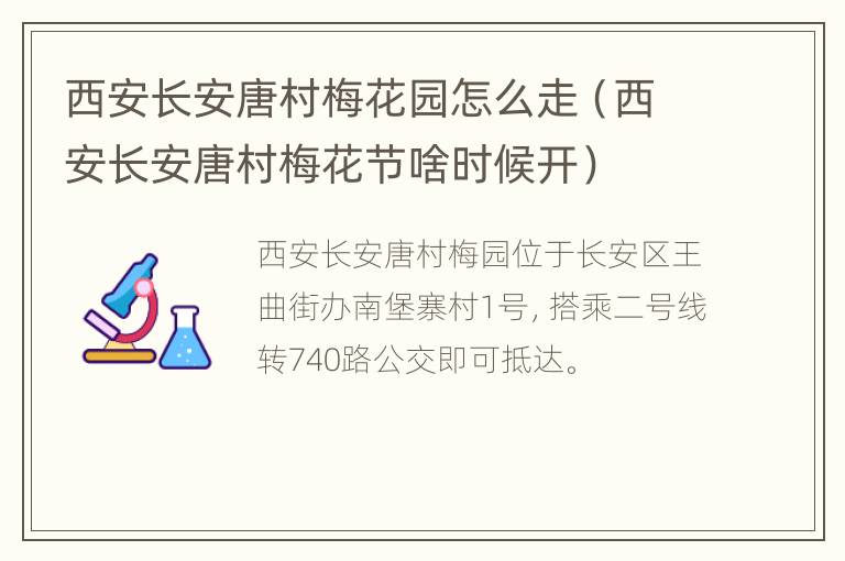 西安长安唐村梅花园怎么走（西安长安唐村梅花节啥时候开）