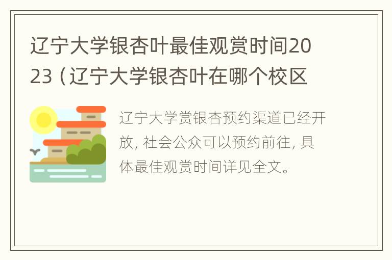 辽宁大学银杏叶最佳观赏时间2023（辽宁大学银杏叶在哪个校区）