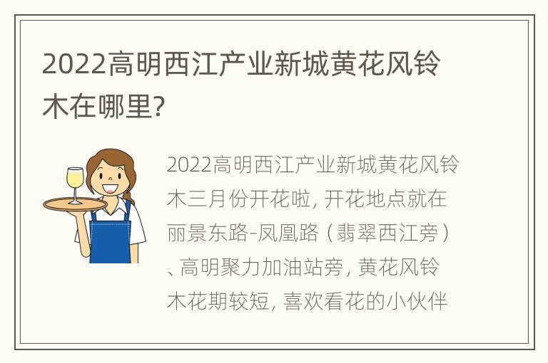 2022高明西江产业新城黄花风铃木在哪里？