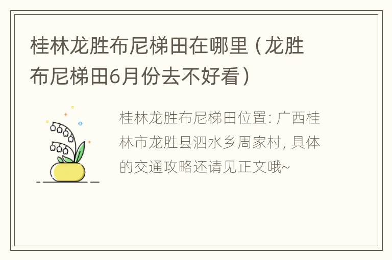 桂林龙胜布尼梯田在哪里（龙胜布尼梯田6月份去不好看）