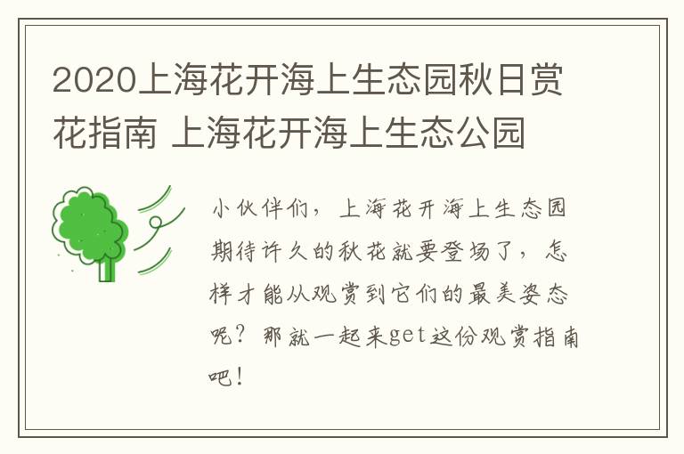 2020上海花开海上生态园秋日赏花指南 上海花开海上生态公园