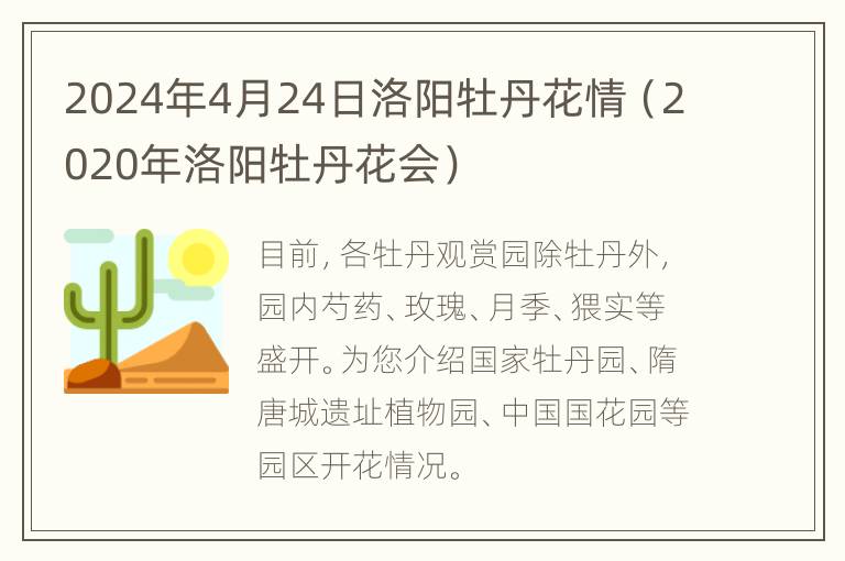 2024年4月24日洛阳牡丹花情（2020年洛阳牡丹花会）