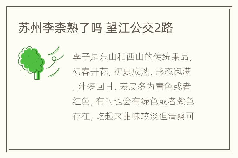 苏州李柰熟了吗 望江公交2路