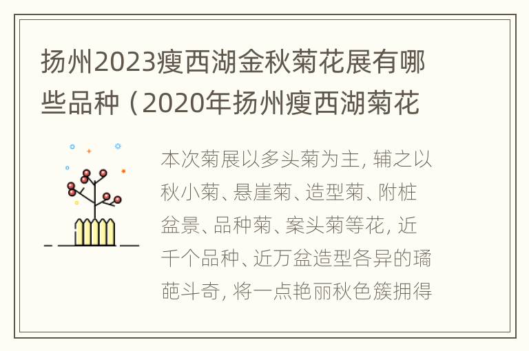 扬州2023瘦西湖金秋菊花展有哪些品种（2020年扬州瘦西湖菊花展时间）