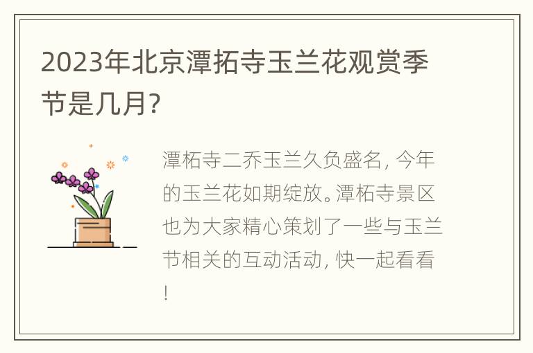 2023年北京潭拓寺玉兰花观赏季节是几月？